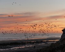IMG_1101 12/09/2018 - Arrivée le soir sur la fameuse falaise de 12 km qui abrite toute l'année la concentration la plus grande au monde de perroquets (34 000). This was...